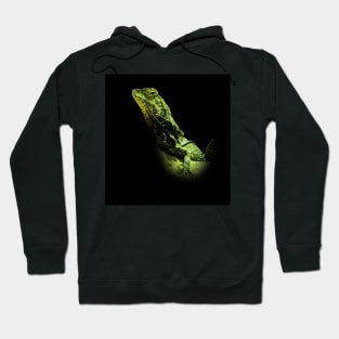 Frilled-neck lizard Hoodie